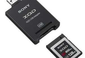 Sony-XQD-and-SD-mediacard