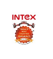 Intex-Logo