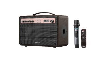 AIWA-Speaker