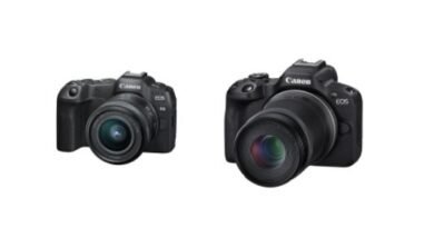 Canon-mirrorless-cameras-EOS-R8-and-EOS-R50