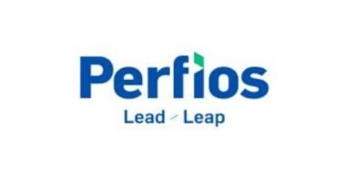 PERFIOS LOGO